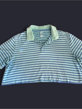 croft & barrow cropped Blue and Mint Green Striped Polo